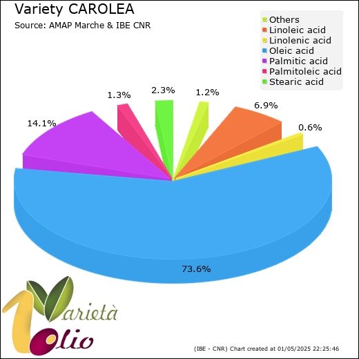 Fatty acids composition of cultivar 