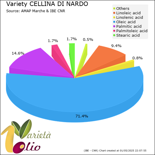 Fatty acids composition of cultivar 