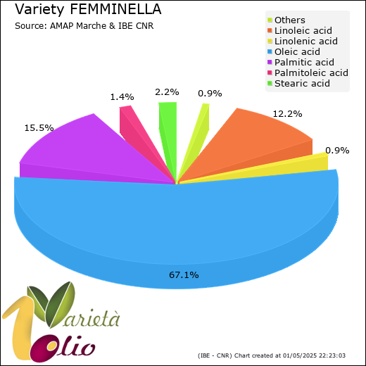 Fatty acids composition of cultivar 