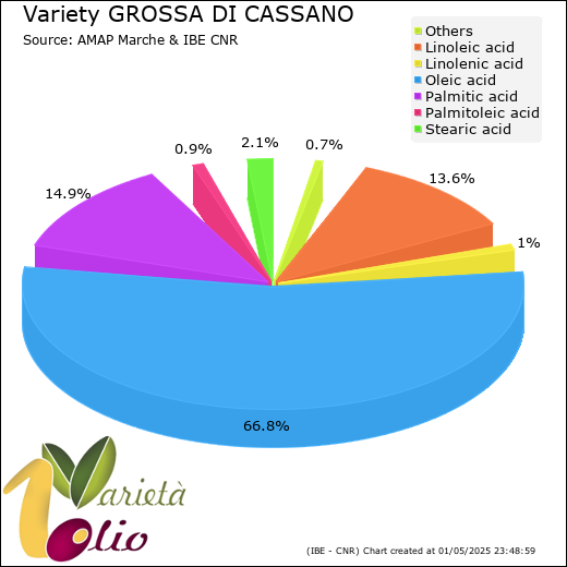 Fatty acids composition of cultivar 