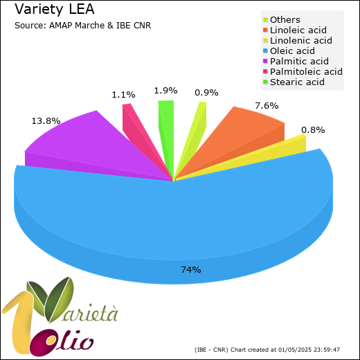 Fatty acids composition of cultivar 