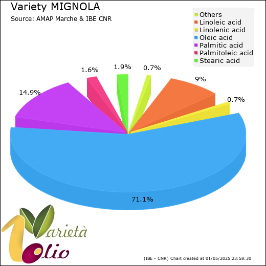 Fatty acids composition of cultivar 