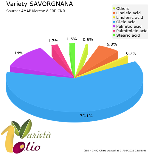 Fatty acids composition of cultivar 