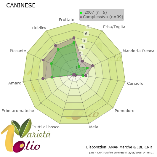 Profilo sensoriale medio della cultivar   2007