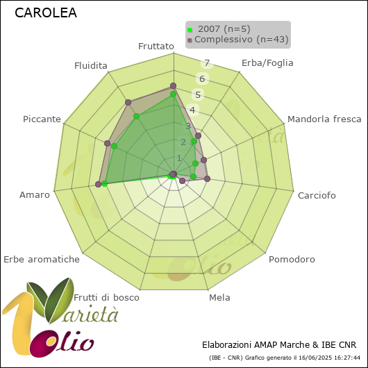 Profilo sensoriale medio della cultivar   2007