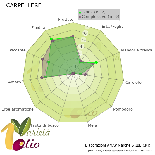 Profilo sensoriale medio della cultivar   2007