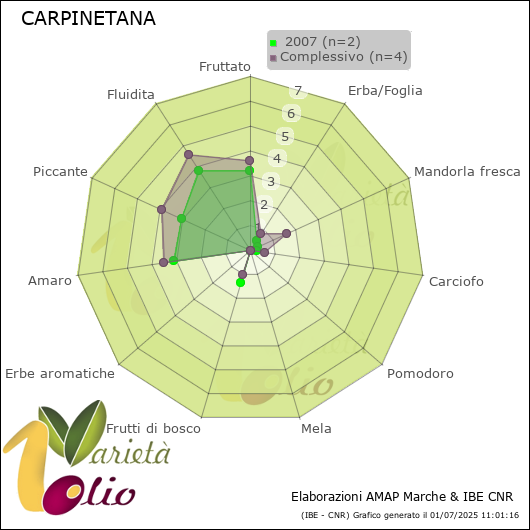 Profilo sensoriale medio della cultivar   2007
