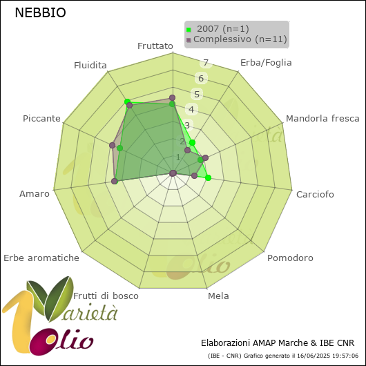 Profilo sensoriale medio della cultivar   2007