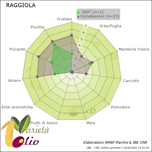 Profilo sensoriale medio della cultivar   2007