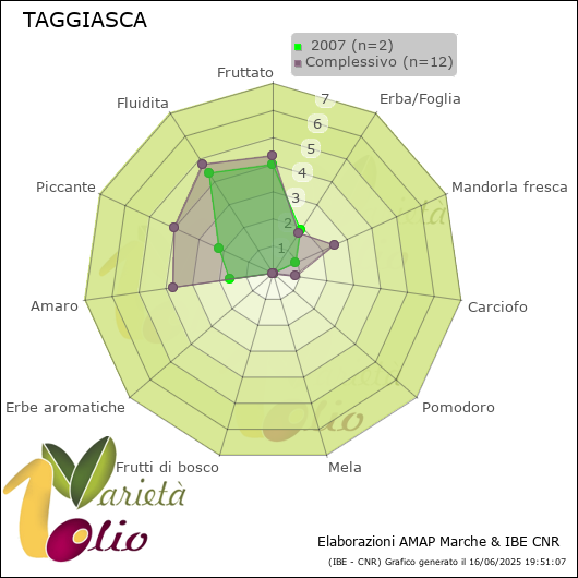 Profilo sensoriale medio della cultivar   2007