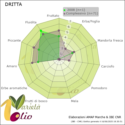Profilo sensoriale medio della cultivar   2008