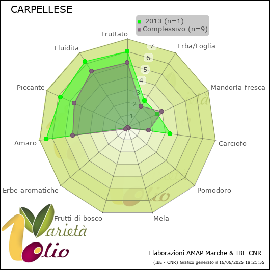 Profilo sensoriale medio della cultivar   2013