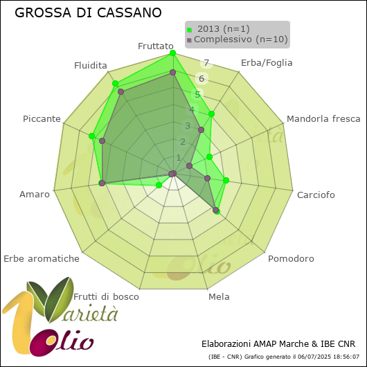 Profilo sensoriale medio della cultivar   2013