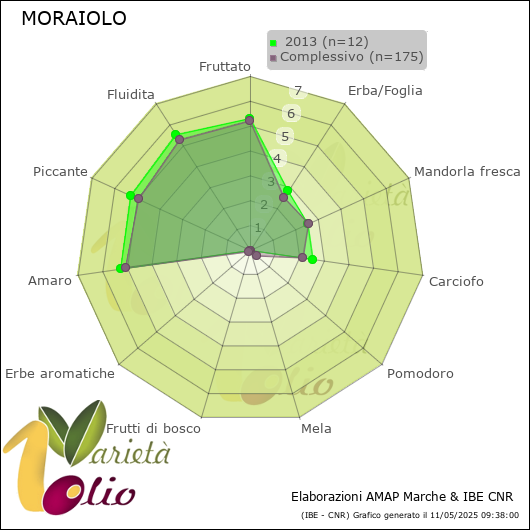 Profilo sensoriale medio della cultivar   2013