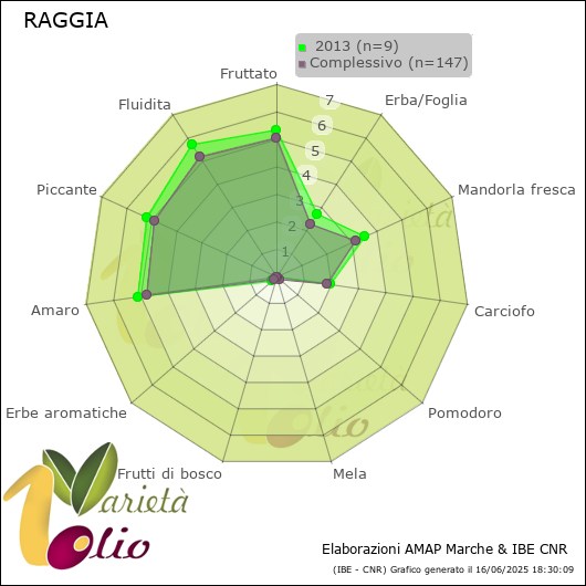 Profilo sensoriale medio della cultivar   2013