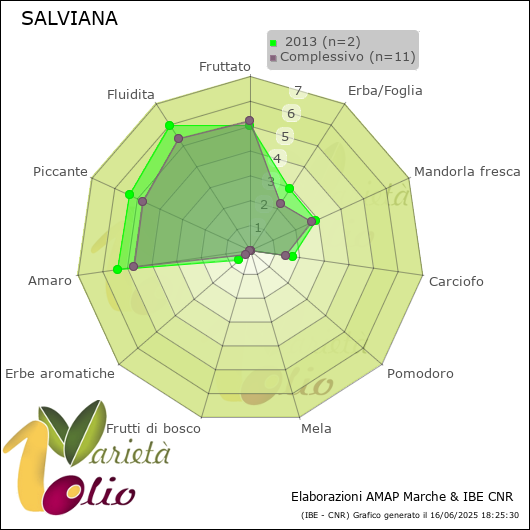 Profilo sensoriale medio della cultivar   2013