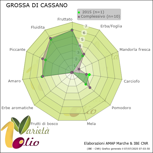 Profilo sensoriale medio della cultivar   2015