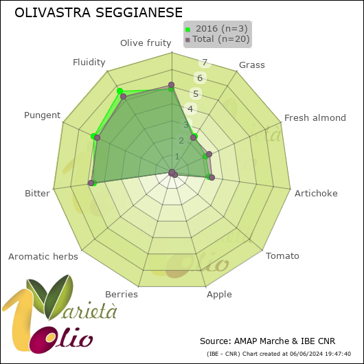 Profilo sensoriale medio della cultivar   2016