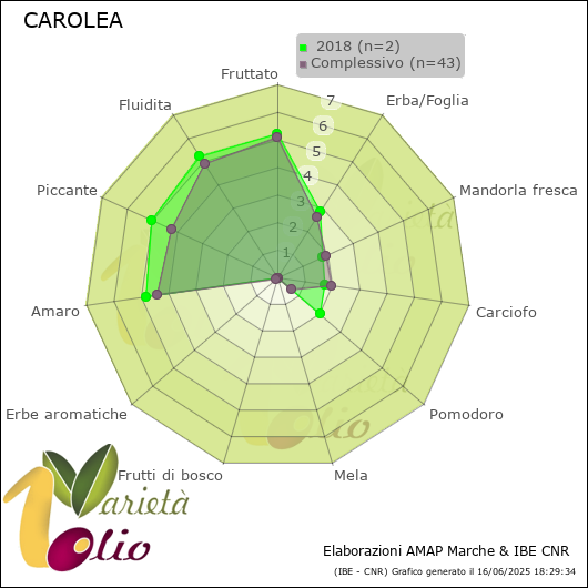 Profilo sensoriale medio della cultivar   2018