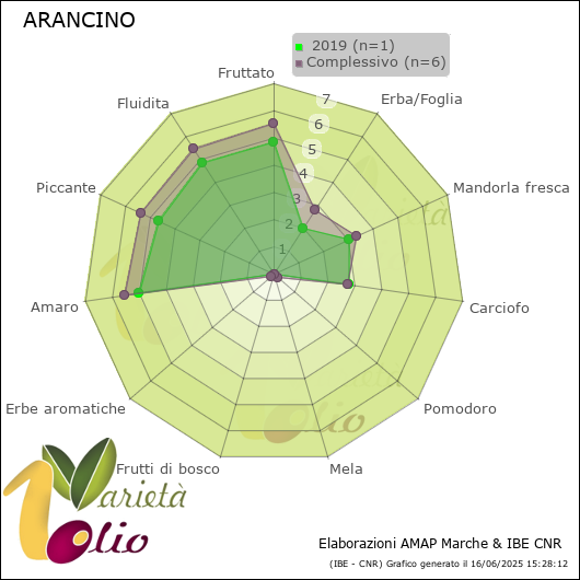 Profilo sensoriale medio della cultivar   2019