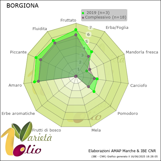 Profilo sensoriale medio della cultivar   2019