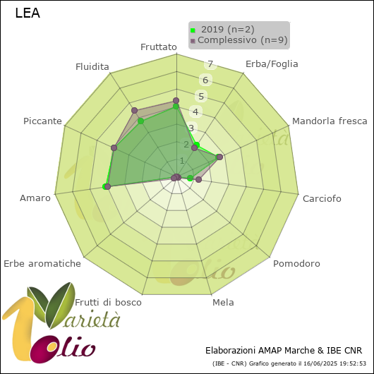 Profilo sensoriale medio della cultivar   2019