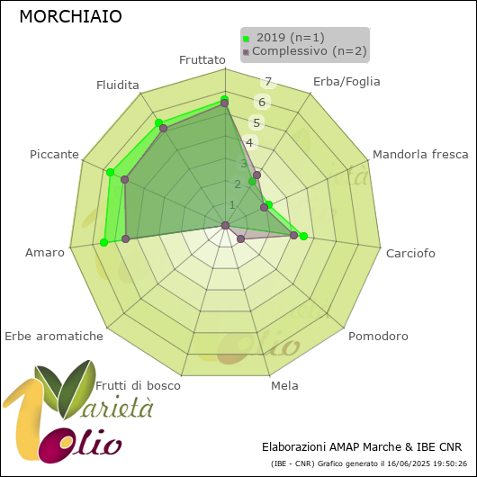 Profilo sensoriale medio della cultivar   2019