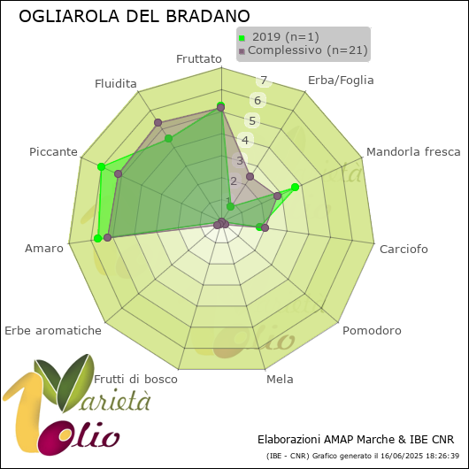 Profilo sensoriale medio della cultivar   2019