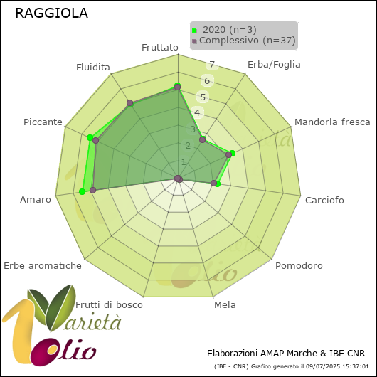 Profilo sensoriale medio della cultivar   2020