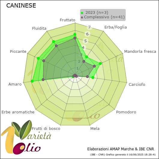 Profilo sensoriale medio della cultivar   2023