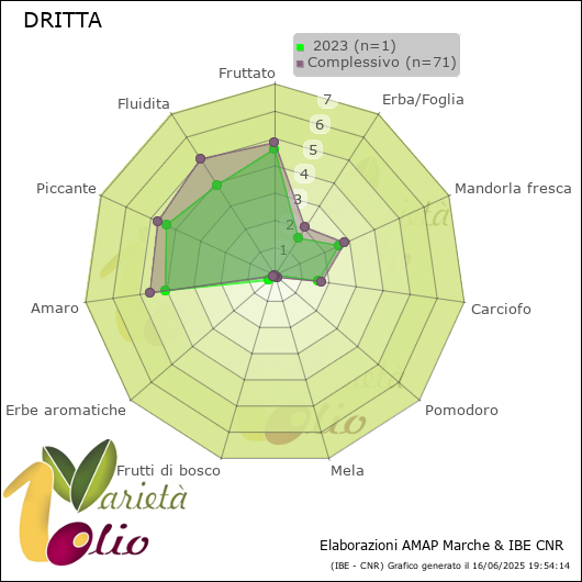 Profilo sensoriale medio della cultivar   2023
