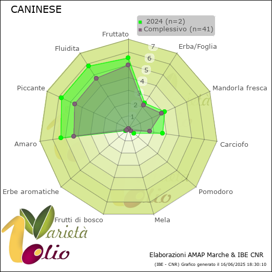Profilo sensoriale medio della cultivar   2024