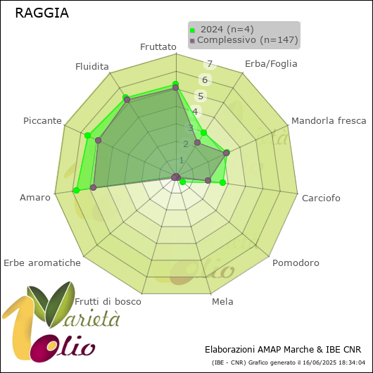 Profilo sensoriale medio della cultivar   2024