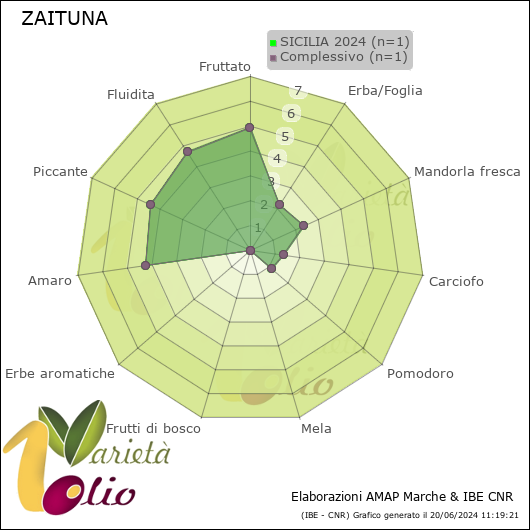 Profilo sensoriale medio della cultivar  SICILIA 2024