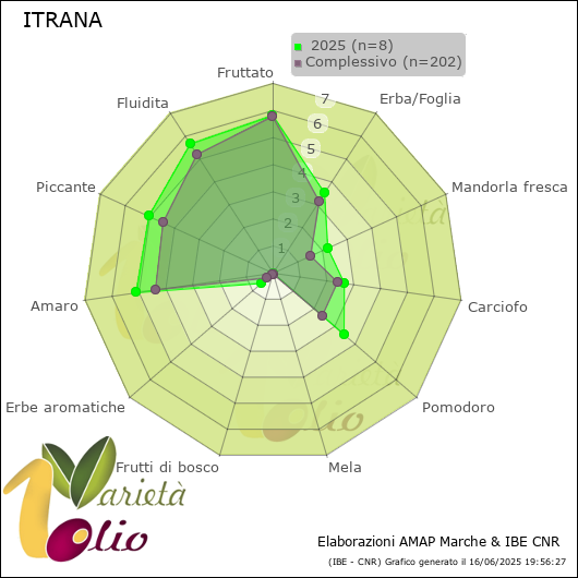 Profilo sensoriale medio della cultivar   2025