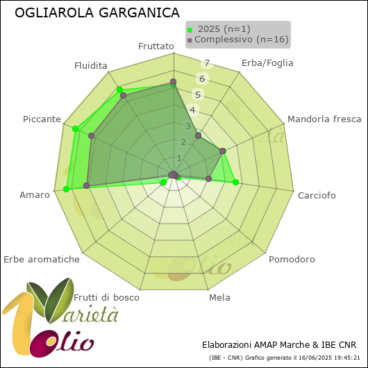 Profilo sensoriale medio della cultivar   2025
