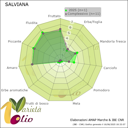 Profilo sensoriale medio della cultivar   2025