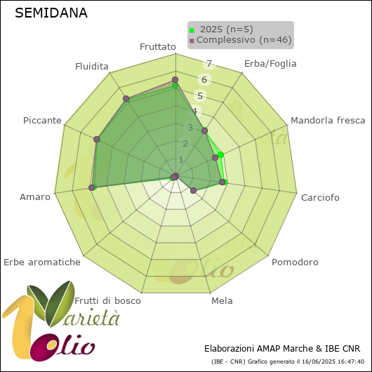 Profilo sensoriale medio della cultivar   2025