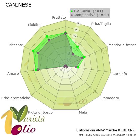 Profilo sensoriale medio della cultivar  TOSCANA 