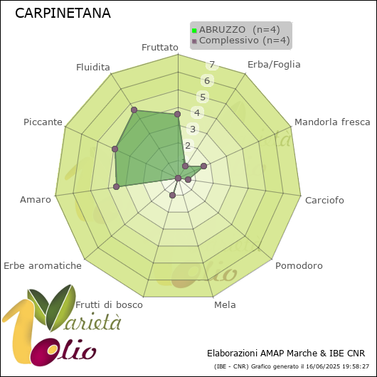 Profilo sensoriale medio della cultivar  ABRUZZO 