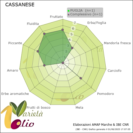 Profilo sensoriale medio della cultivar  PUGLIA 