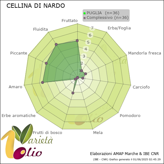 Profilo sensoriale medio della cultivar  PUGLIA 