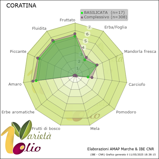 Profilo sensoriale medio della cultivar  BASILICATA 