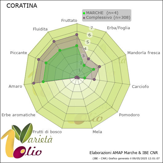 Profilo sensoriale medio della cultivar  MARCHE 