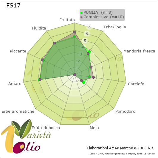 Profilo sensoriale medio della cultivar  PUGLIA 