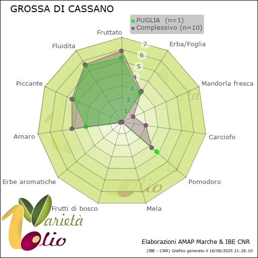 Profilo sensoriale medio della cultivar  PUGLIA 