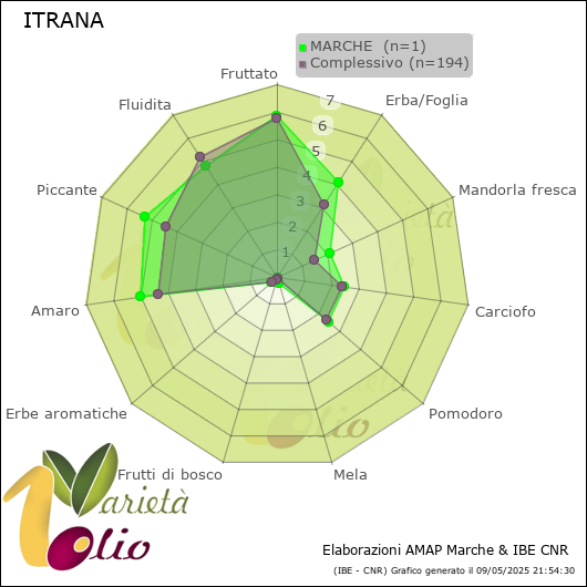 Profilo sensoriale medio della cultivar  MARCHE 