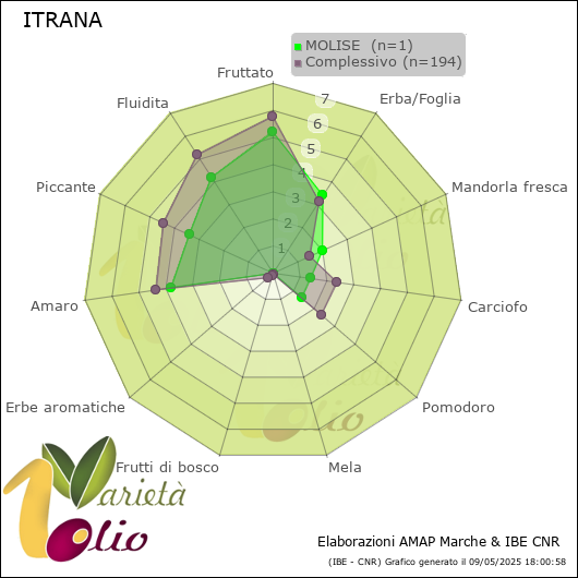 Profilo sensoriale medio della cultivar  MOLISE 