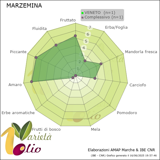 Profilo sensoriale medio della cultivar  VENETO 