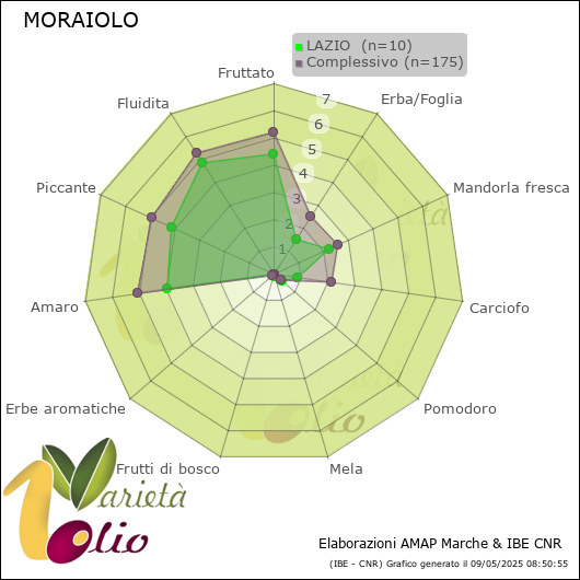 Profilo sensoriale medio della cultivar  LAZIO 